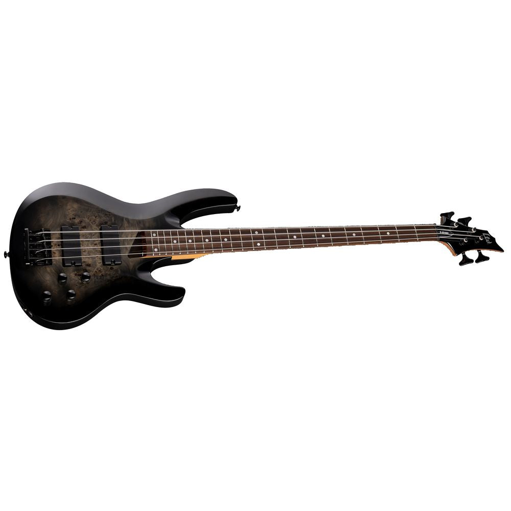 ESP LTD B-204DX Bass Guitar Black Burst