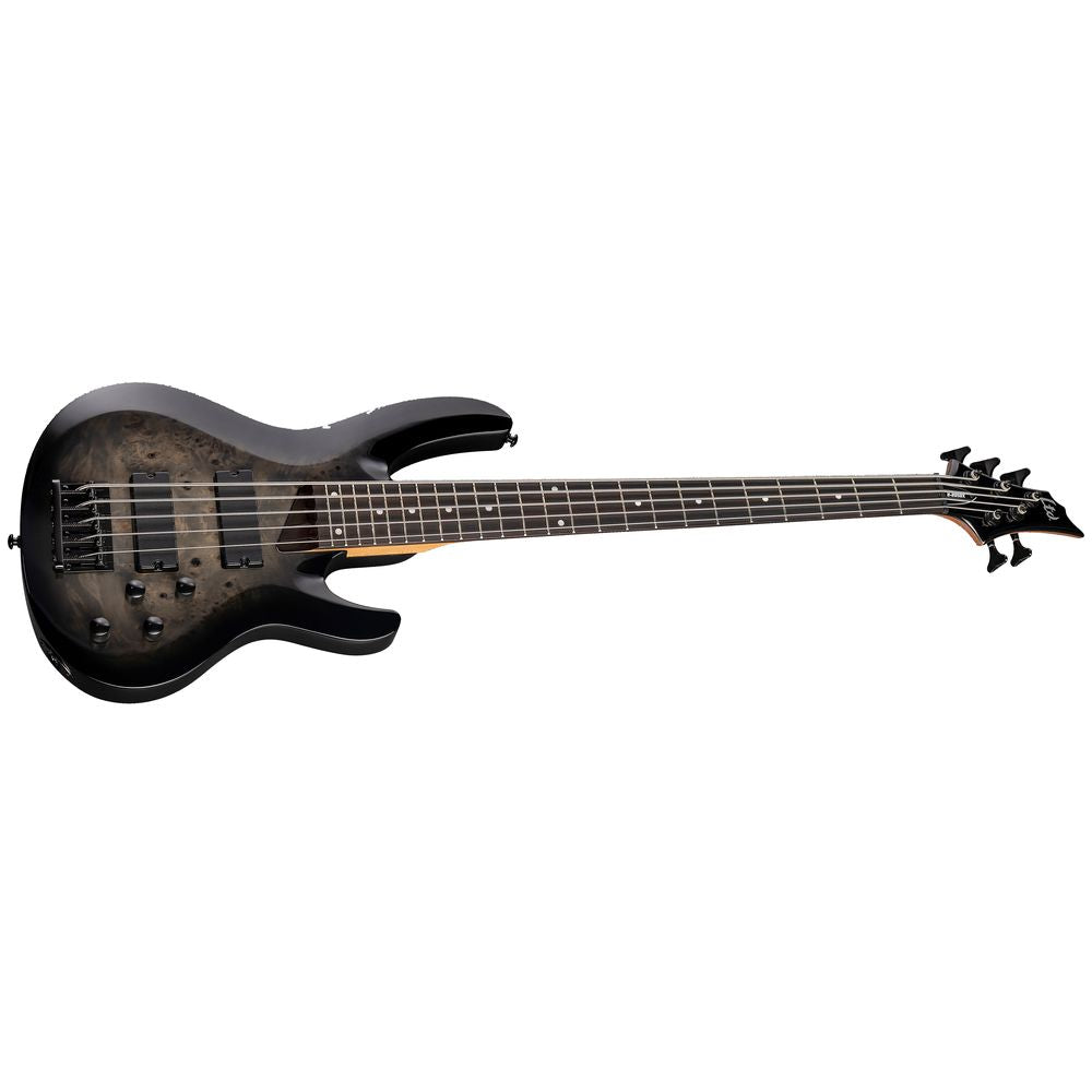 ESP LTD B-205DX Bass Guitar 5-String Black Burst
