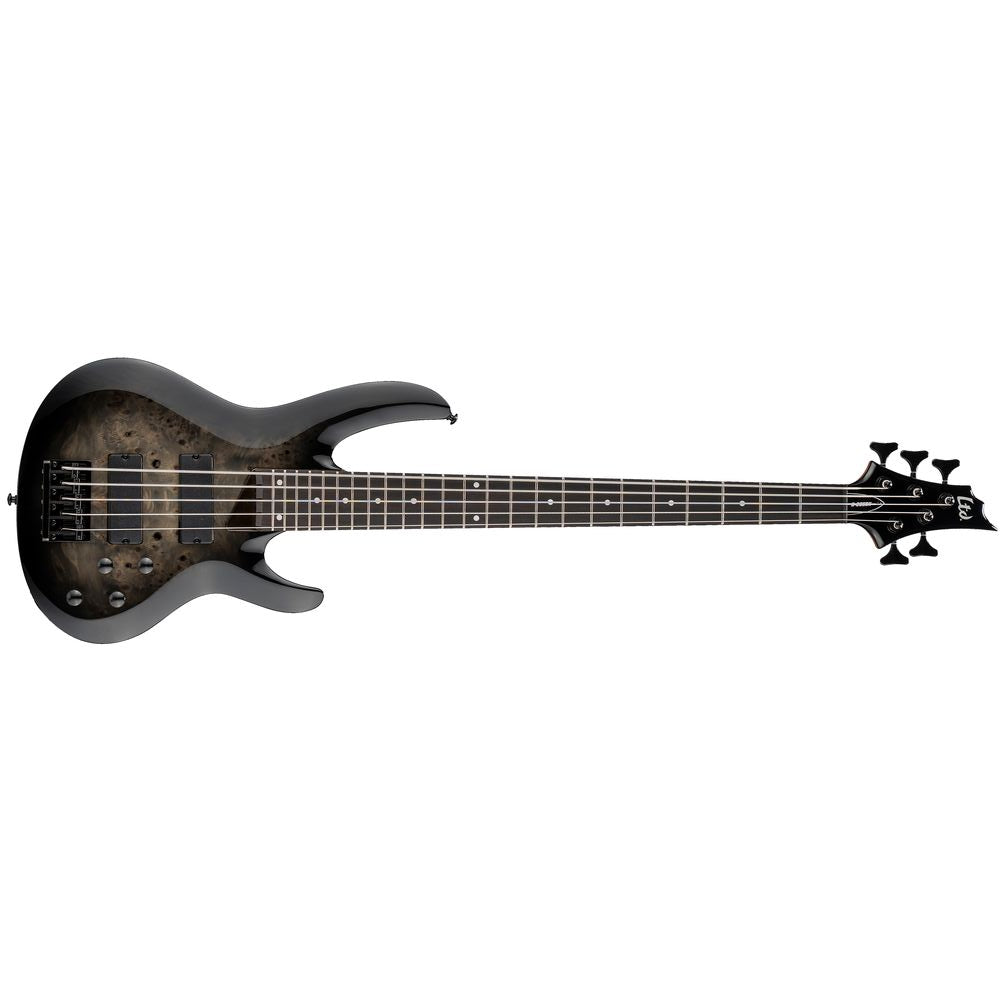 ESP LTD B-205DX Bass Guitar 5-String Black Burst