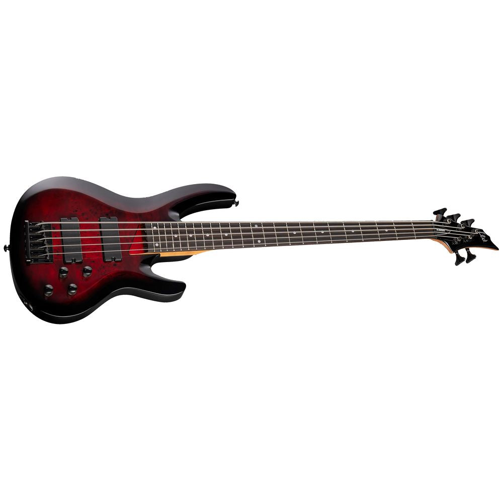 ESP LTD B-205DX Bass Guitar 5-String Red Burst