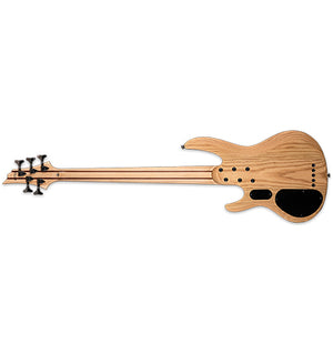 ESP LTD B-205SM Fretless Bass Guitar 5-String Natural Satin Spalted Maple Top w/ Active EQ