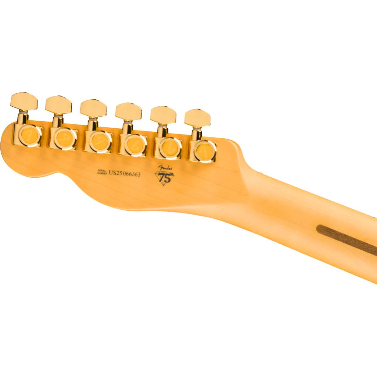 Fender 75th Anniversary American Professional Custom Telecaster Electric Guitar Maple FB 2-Color Sunburst - 0171022703