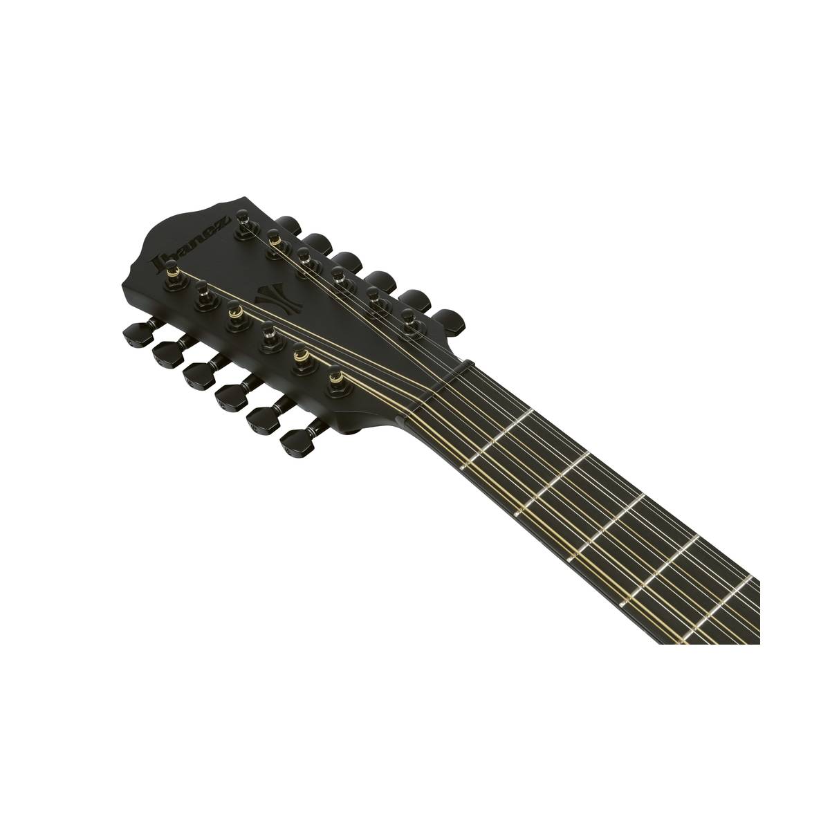 Ibanez AEG1221 Acoustic Guitar 12-String Black Out w/ Pickup