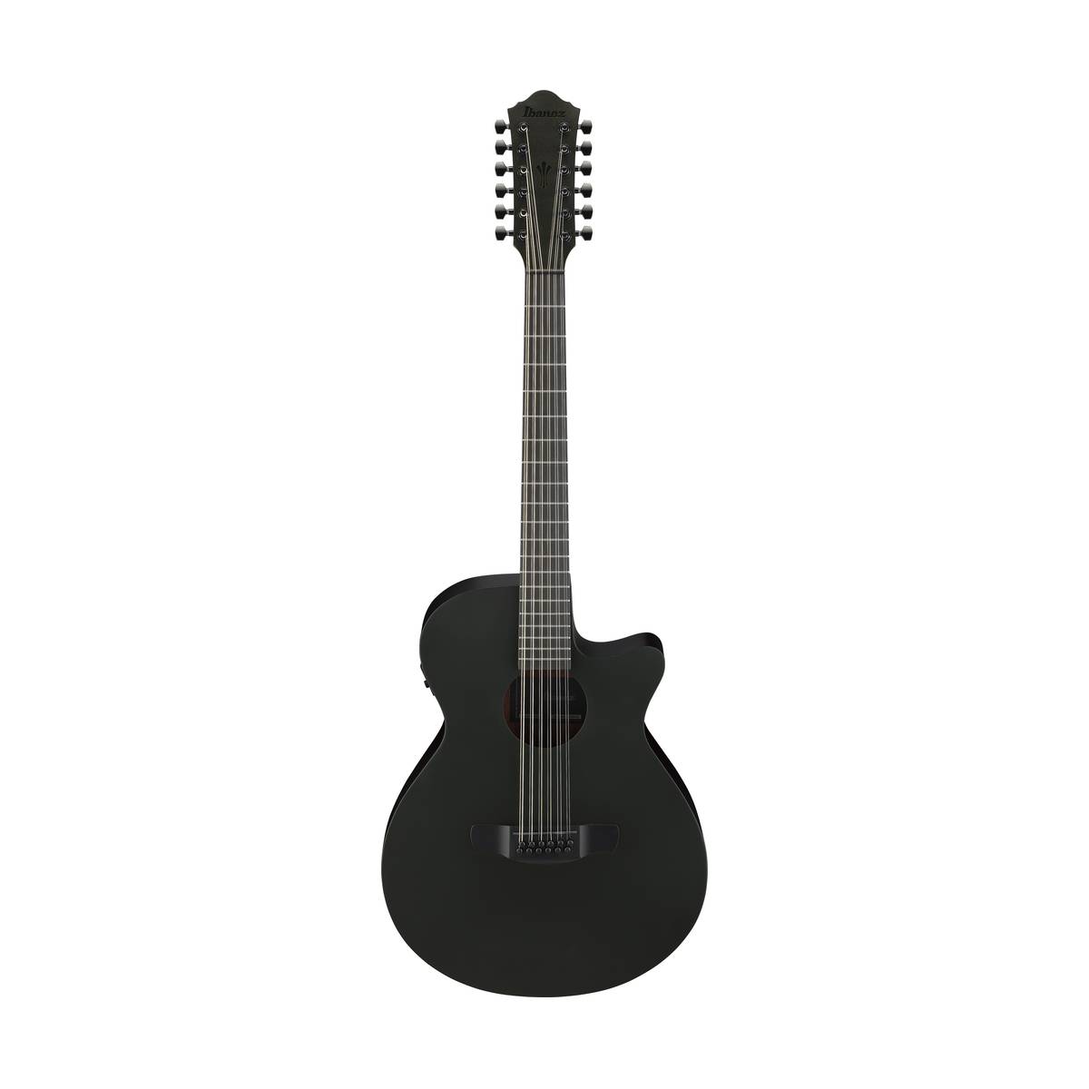 Ibanez AEG1221 Acoustic Guitar 12-String Black Out w/ Pickup
