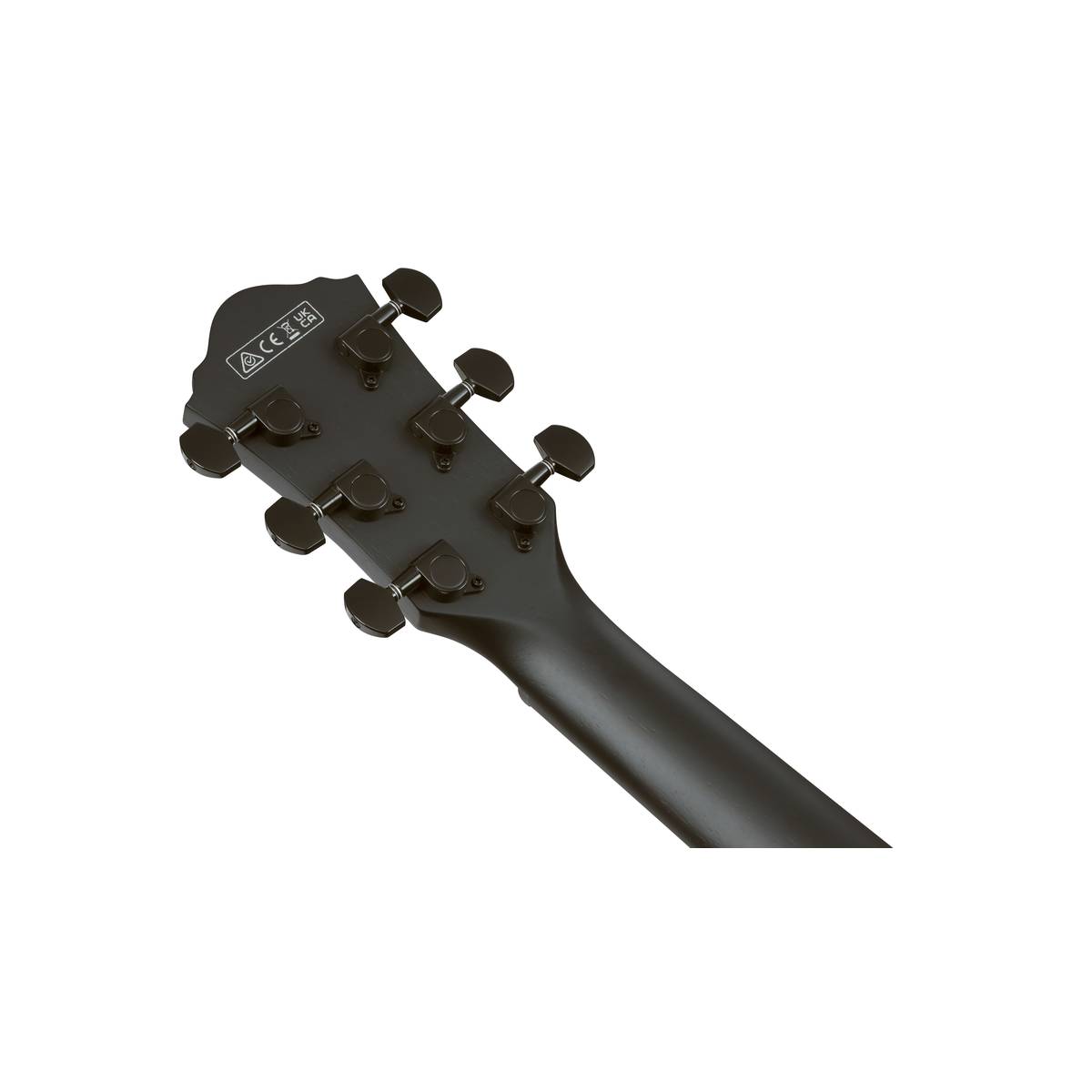 Ibanez AEG621 Acoustic Guitar Black Out w/ Pickup