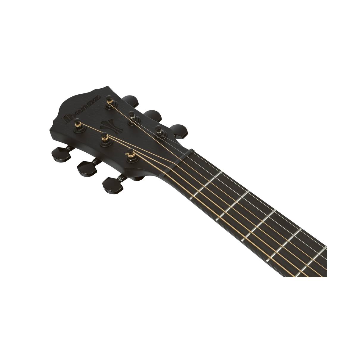 Ibanez AEG621 Acoustic Guitar Black Out w/ Pickup