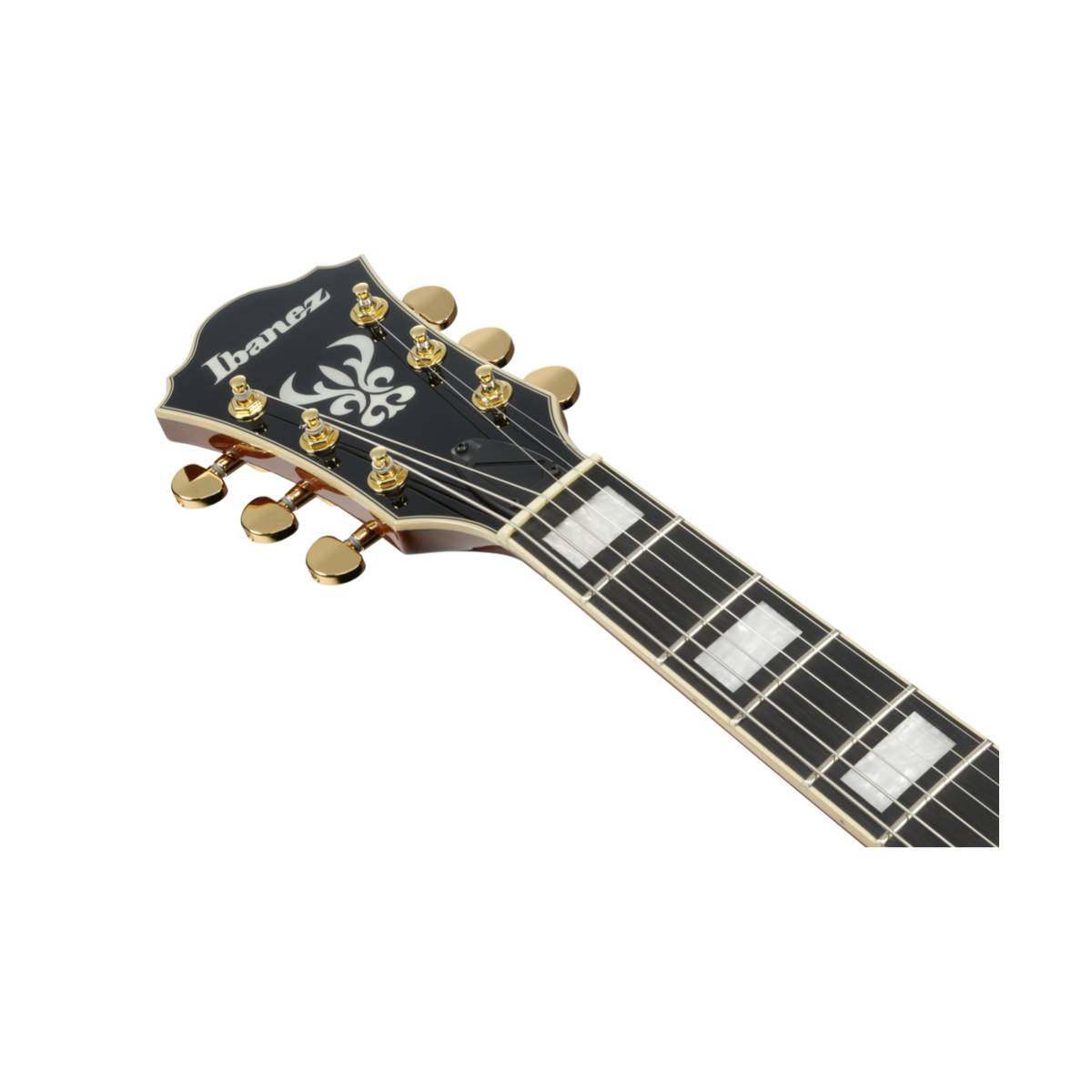 Ibanez AG95MG Electric Guitar Dark Amber