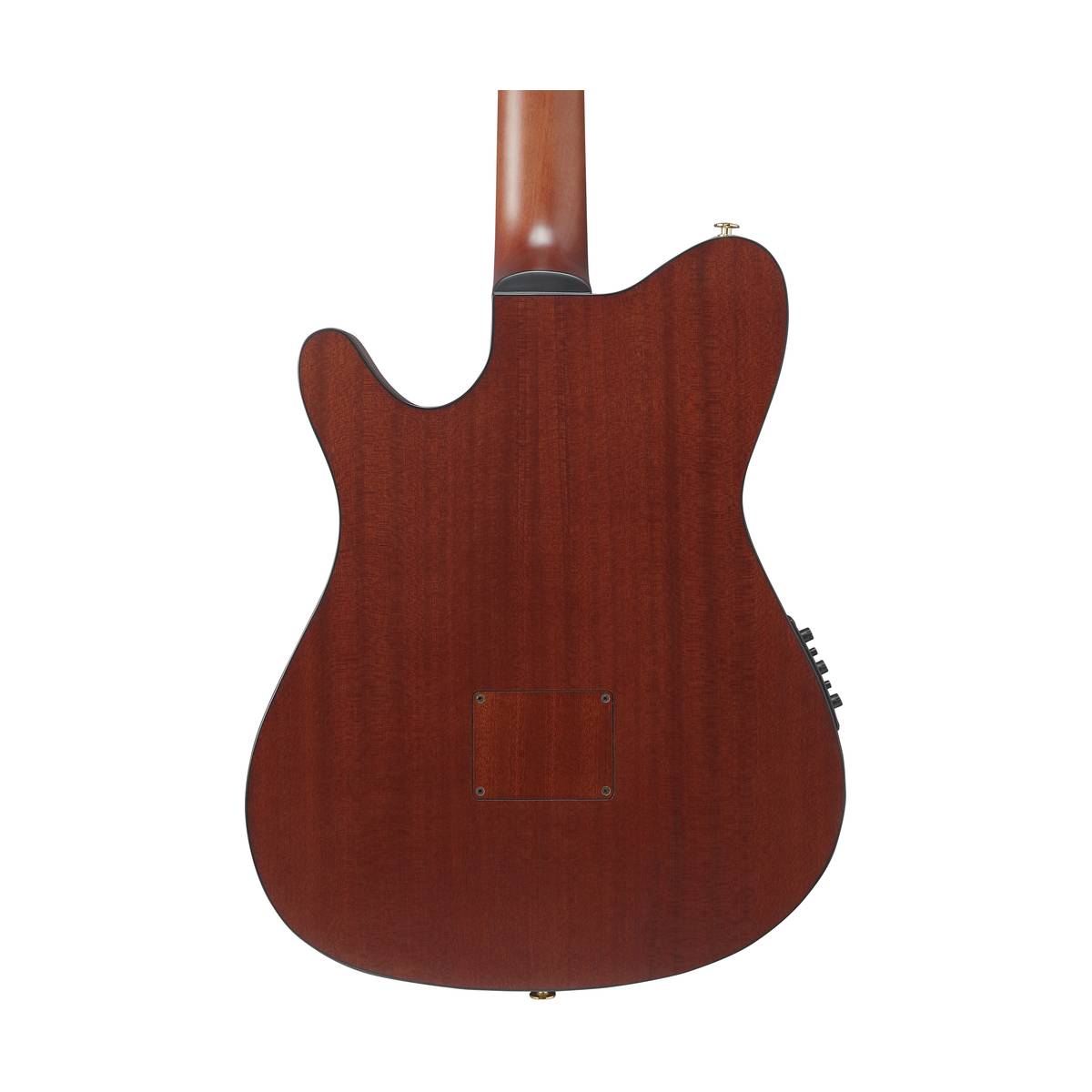 Ibanez FRH20SMN Nylon String Guitar Tobacco Burst Low Gloss w/ Pickup