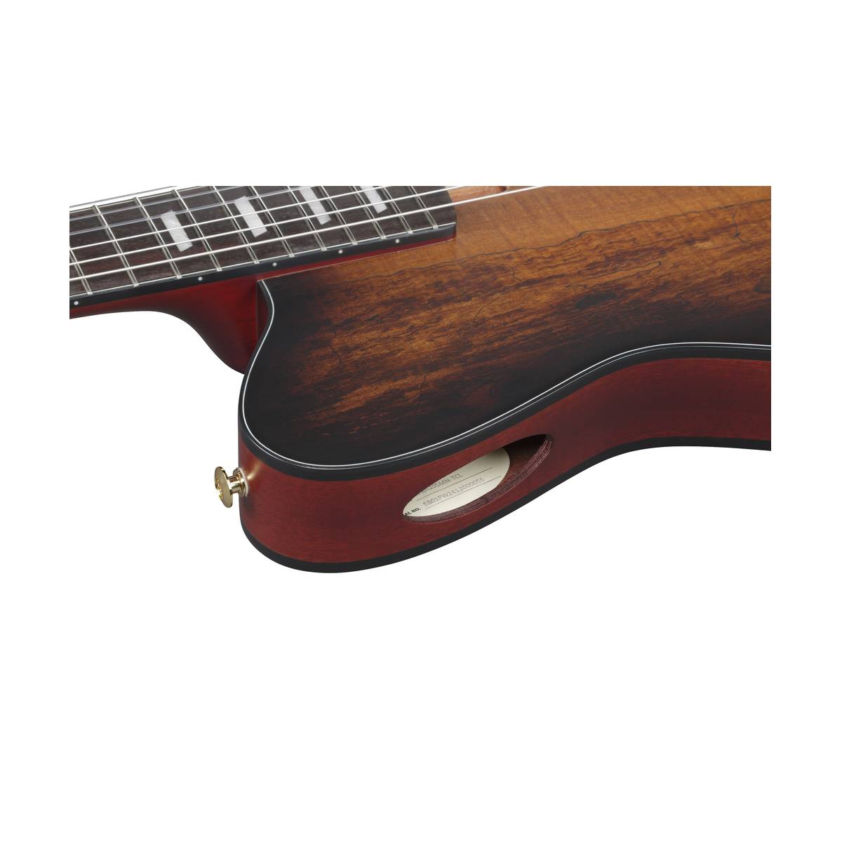 Ibanez FRH20SMN Nylon String Guitar Tobacco Burst Low Gloss w/ Pickup