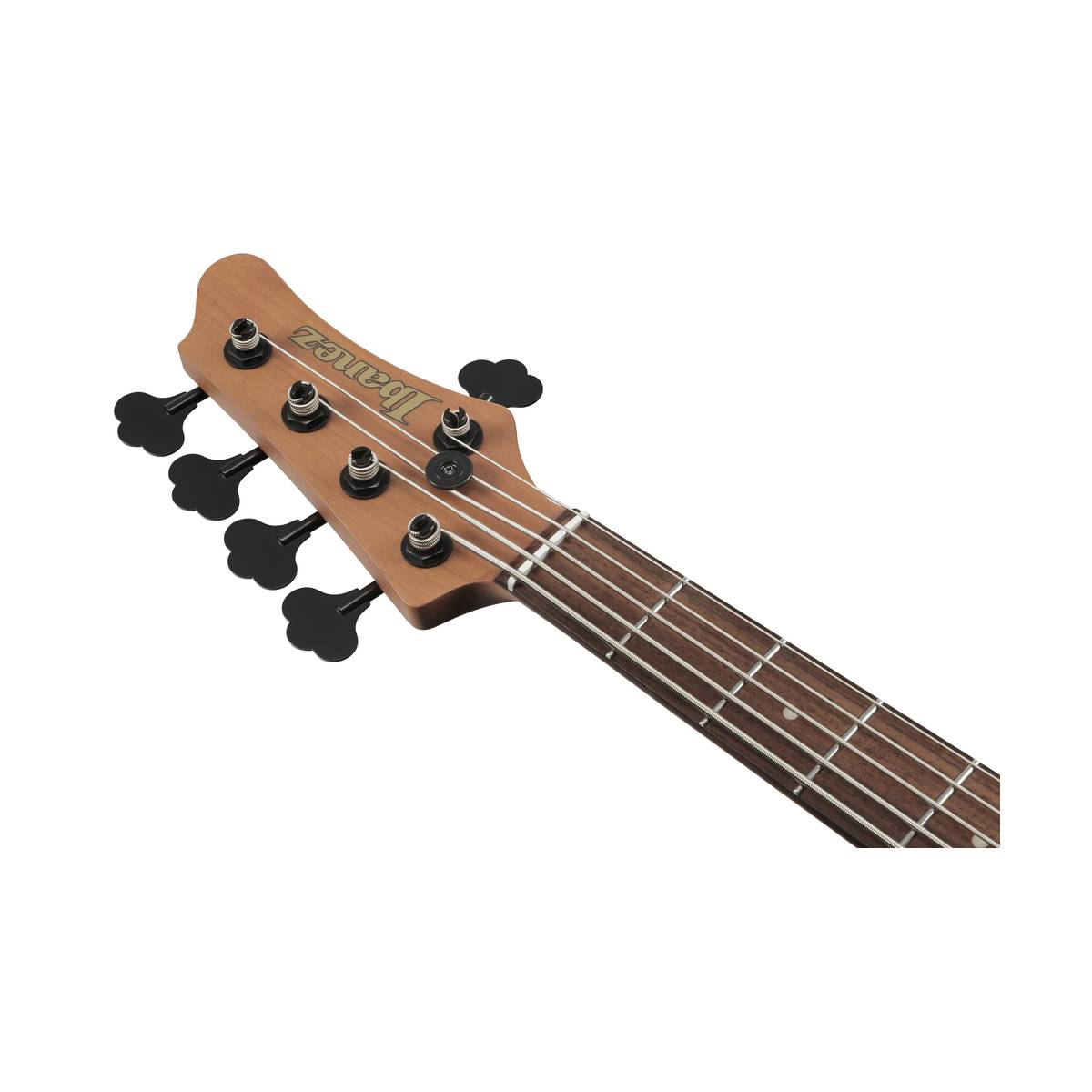 Ibanez MDM1005 Bass Guitar 5-String Midnight Arctic Ocean Matte