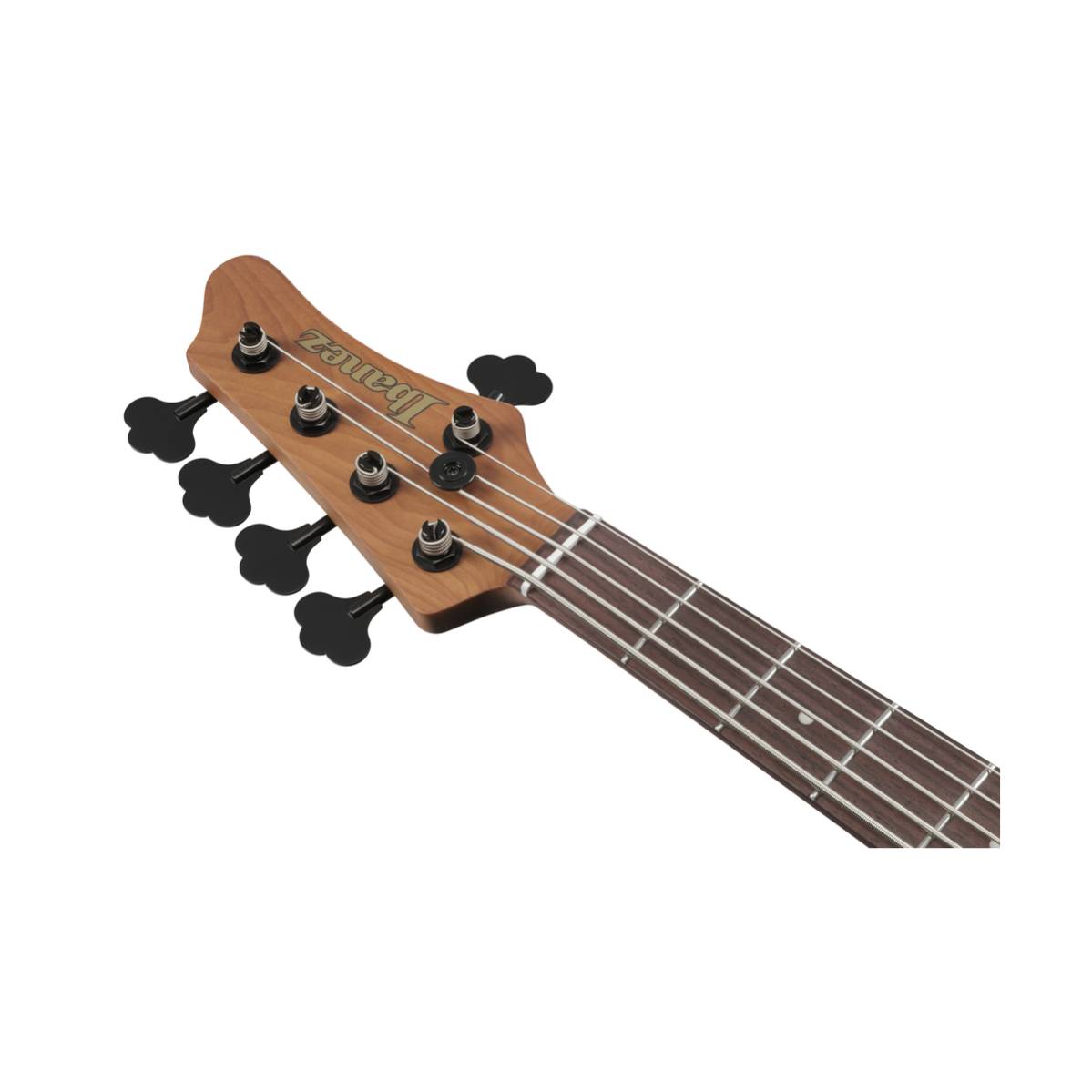 Ibanez MDM1605 Bass Guitar 5-String Natural Mocha Low Gloss