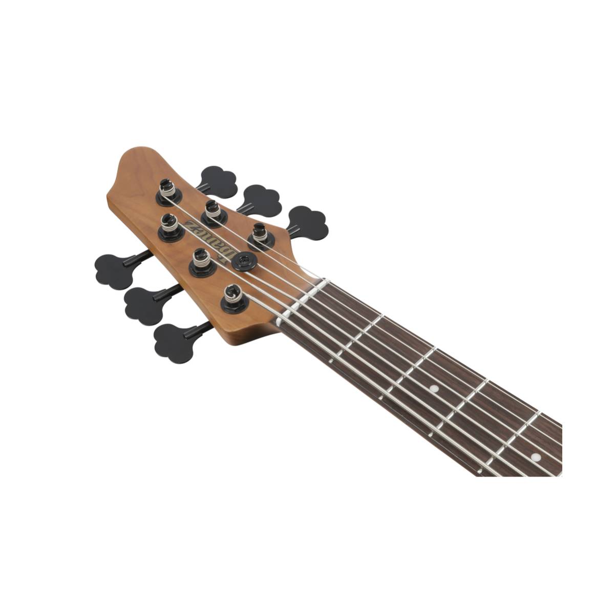 Ibanez MDM1606 Bass Guitar 6-String Natural Mocha Low Gloss