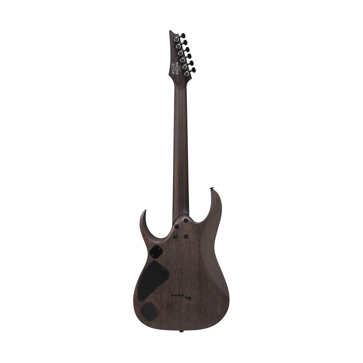 Ibanez RGD621AH Electric Guitar Midnight Shade Flat