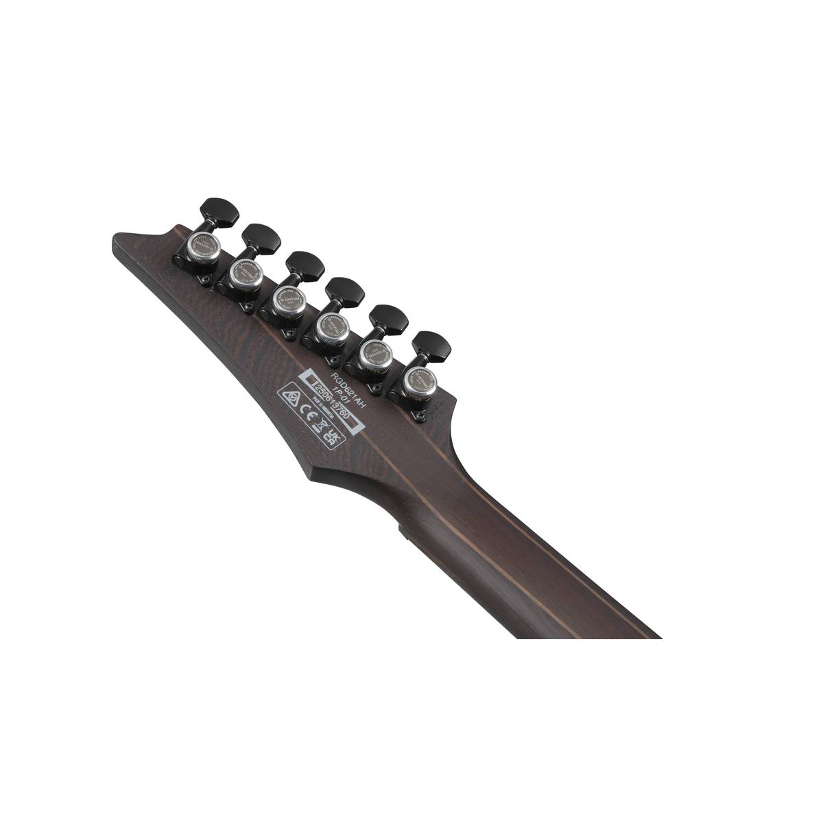 Ibanez RGD621AH Electric Guitar Midnight Shade Flat