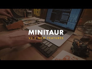 Moog Minitaur Analogue Bass Synthesizer Module