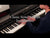 Casio Celviano AP-550 Digital Piano White w/ Bench