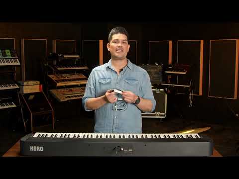 Korg B2 PLUS Digital Piano Weighted 88-Key - Black