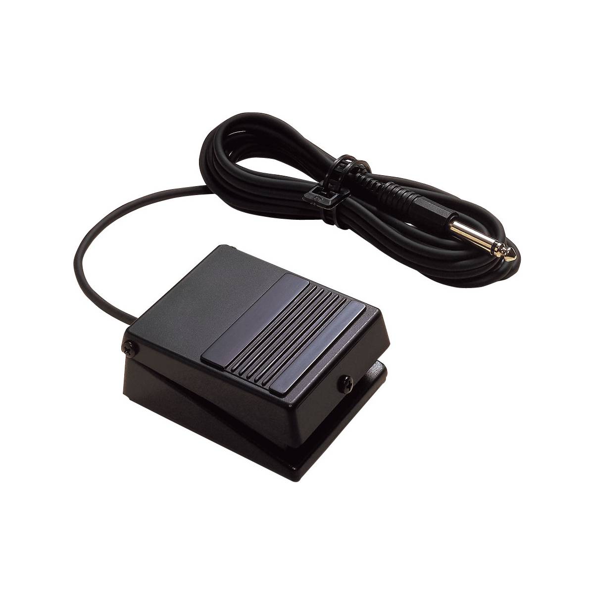 Roland DP-2 Damper Sustain Pedal - Momentary Non Latching Footswitch