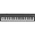 Roland FP-30X Digital Piano Black FP30X