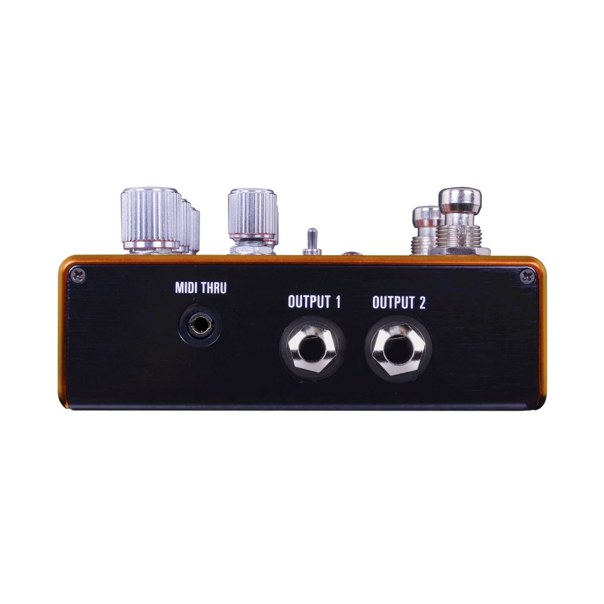 Source Audio Pathways Reverb & Tremolo Dual Effects Pedal