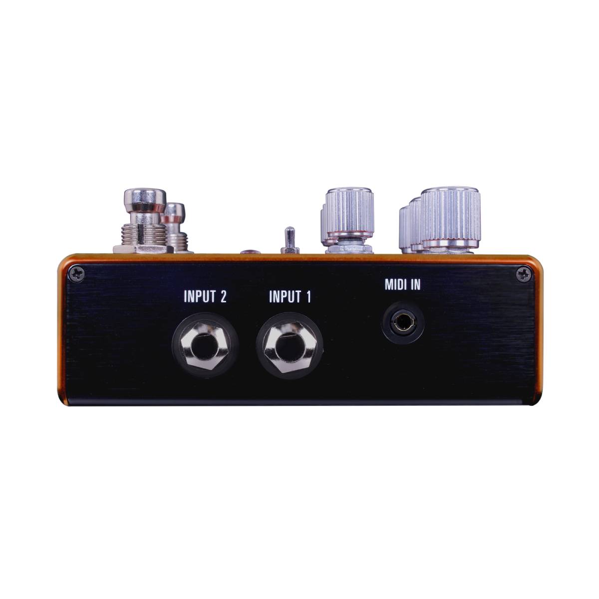 Source Audio Pathways Reverb & Tremolo Dual Effects Pedal