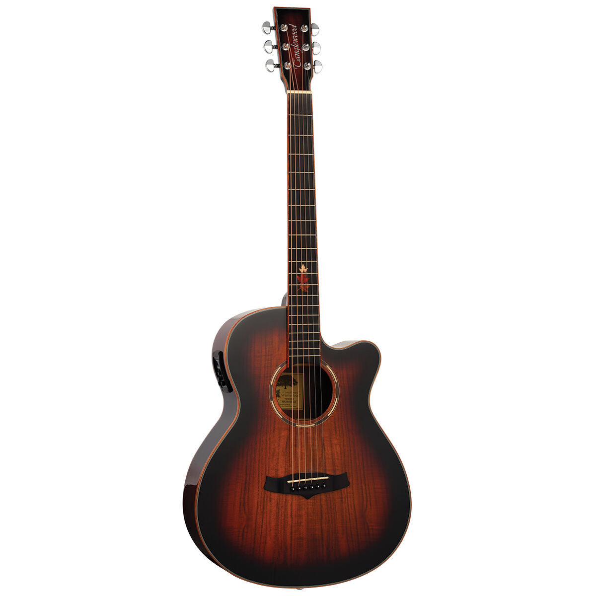 Tanglewood TWX4CEK Winterleaf Exotic Acoustic Guitar SuperFolk Koa w/ Cutaway &amp; Pickup