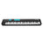 Alesis V61 MKII 61 Key Keyboard Controller MK2