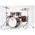 Dixon Fuse Limited Series Drum Kit 5-Piece Zebrawood w/ 9278 Hardware - PODFL522ZBPK