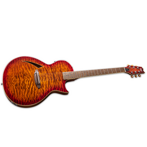 ESP LTD TL-6 Thinline Acoustic Electric Guitar Tiger Eye Burst - LTL-6QMTEB