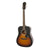 Epiphone DR-100 Acoustic Guitar Square Shoulder Dreadnought Vintage Sunburst - EA10VSCH1