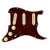 Fender Pre-Wired Strat Pickguard, Custom Shop Fat 50s SSS, Tortoise Shell 11 Hole PG - 0992340500