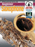 Progressive Books 69120 Beginner Saxophone w/ Online Media