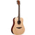 Lag Tramontane 70 T70D Acoustic Guitar Dreadnought Solid Spruce Top