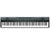 Korg Liano 88-Key Piano - Metallic Gray