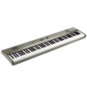 Korg Liano 88-Key Piano - Metallic Silver