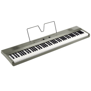 Korg Liano 88-Key Piano - Metallic Silver