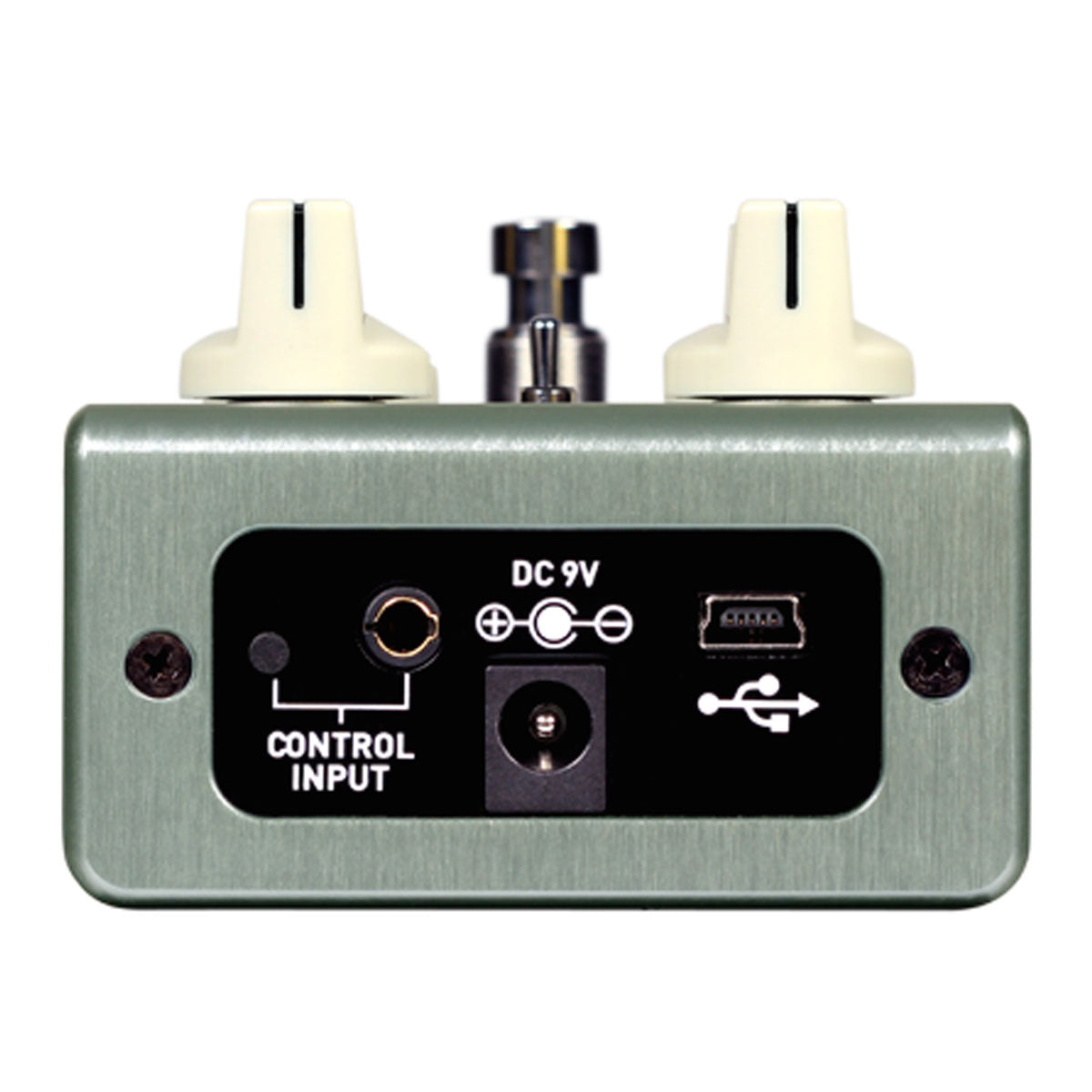Source Audio One Series True Spring Reverb Effects Pedal
