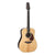 Takamine EF360S-TT Thermal Top Series Acoustic Guitar Dreadnought Natural w/ Pickup