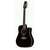 Takamine EF381SC Legacy Series Acoustic Guitar 12-String Dreadnought Black w/ Pickup