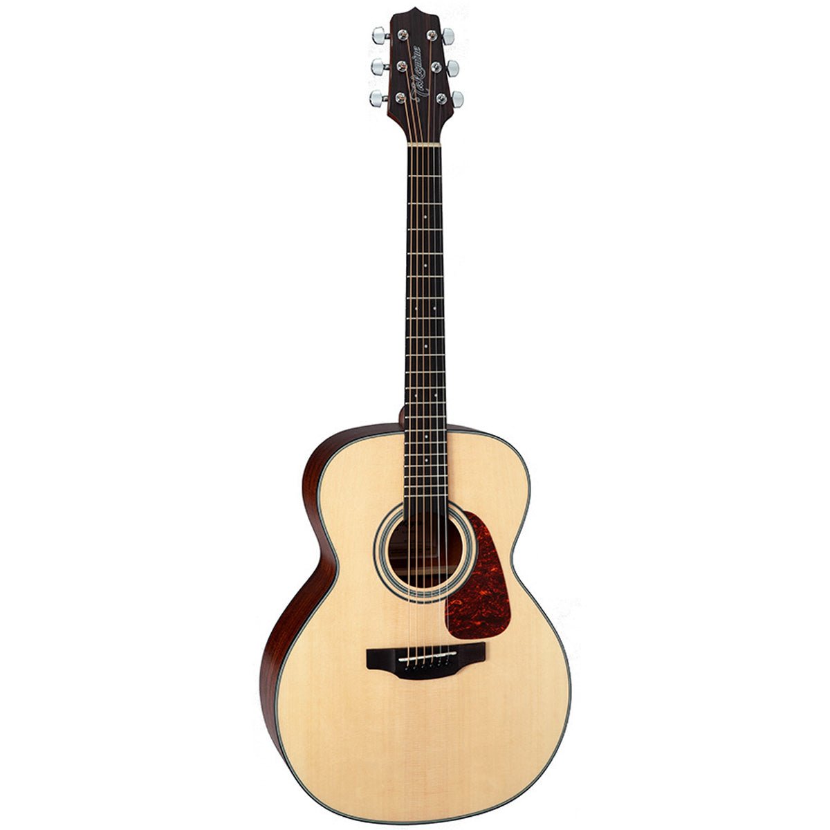 Takamine G10 Series Acoustic Guitar NEX Natural Satin - TGN10NS