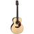 Takamine G10 Series Acoustic Guitar NEX Natural Satin - TGN10NS