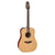 Takamine P3D Pro Series 3 Acoustic Guitar Dreadnought Natural w/ Pickup