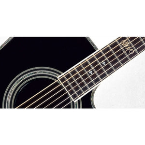 Takamine SW341SC Steve Wariner Signature Acoustic Guitar Dreadnought Black w/ Pickup