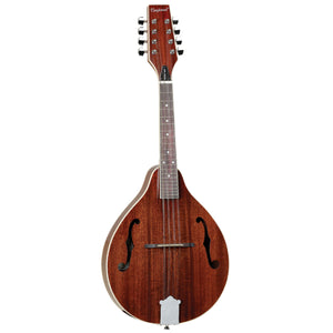 Tanglewood Mandolin Teardrop Mahogany