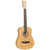 Tanglewood TWT18 Tiare Bamboo Acoustic Guitar Traveller