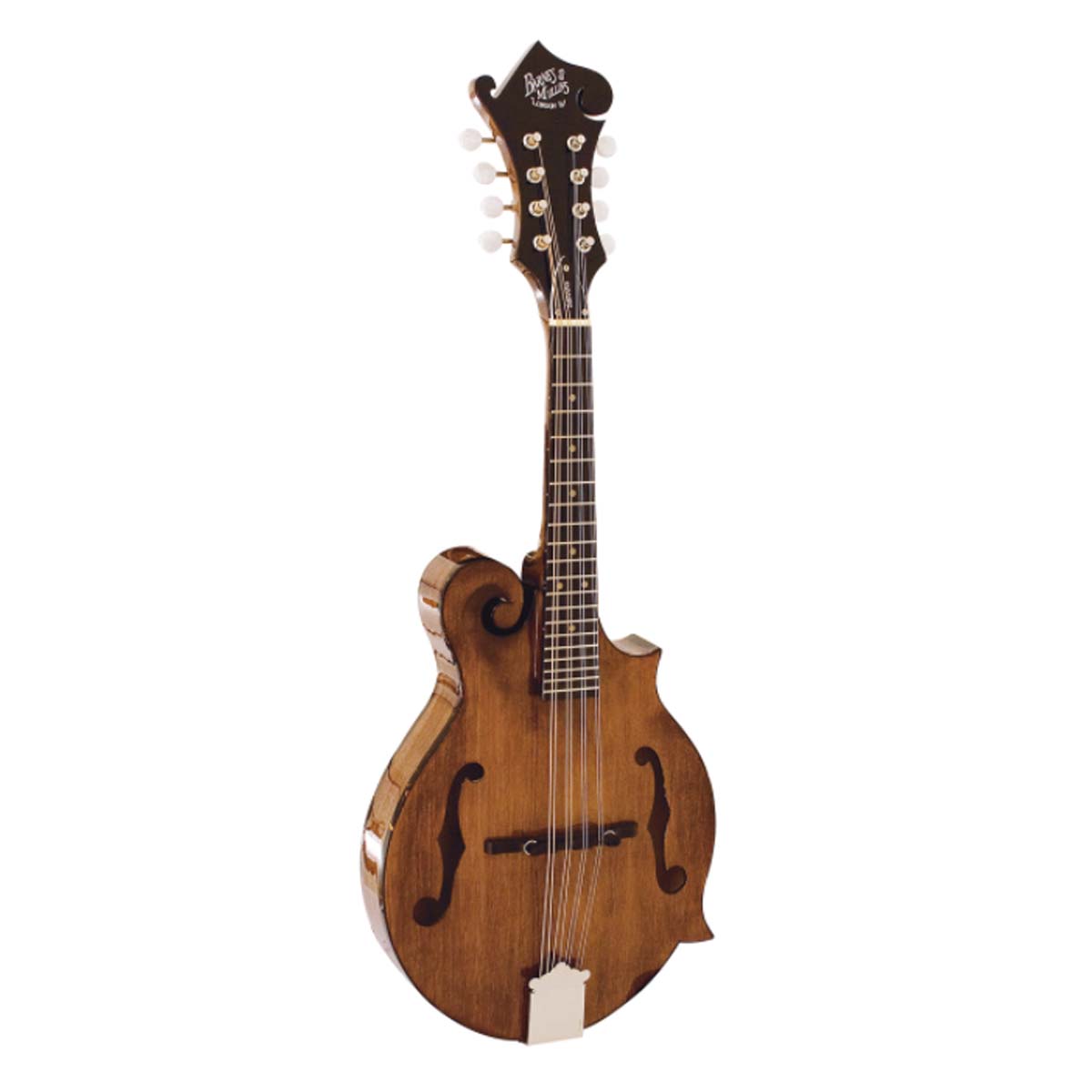 Barnes & Mullins BM650 Salvino Mandolin