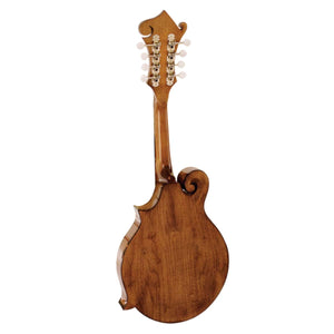 Barnes & Mullins BM650 Salvino Mandolin