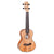 Barnes & Mullins BMUK9C Concert Ukulele Spalted Maple Uke