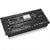 Behringer Deepmind 12D Analogue Synthesizer Module