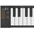 Blackstar Carry-On FC-49 Folding Controller 49 Key USB MIDI